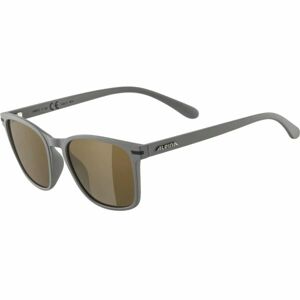 Alpina Sports YEFE Sluneční brýle, černá, velikost UNI