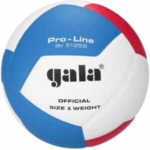 GALA BV5125 PRO-LINE 12 Volejbalový míč, bílá, veľkosť 5