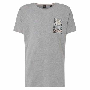 O'Neill LM FLOWER T-SHIRT Pánské triko, šedá, velikost M