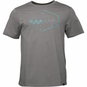 O'Neill PALM Pánské tričko, šedá, velikost XXL