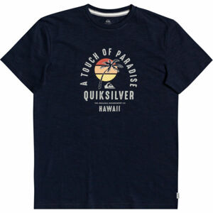 Quiksilver QUIET HOUR SS Pánské triko, Tmavě modrá,Bílá, velikost