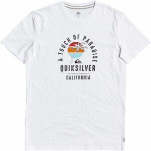 Quiksilver QUIET HOUR SS Pánské triko, bílá, velikost XXL
