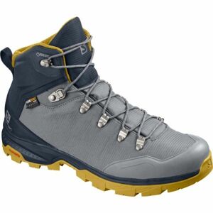 Salomon OUTBACK 500 GTX šedá 8.5 - Pánská hikingová obuv