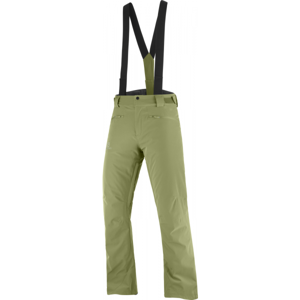 Salomon STANCE PANT M Pánské lyžařské kalhoty, zelená, velikost M