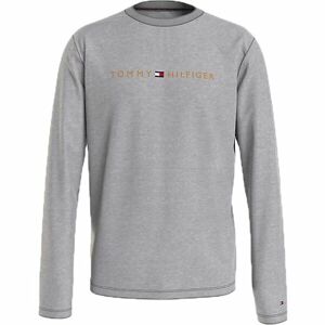 Tommy Hilfiger TOMMY ORIGINAL-CN LS TEE LOGO Pánské triko s dlouhým rukávem, šedá, veľkosť L